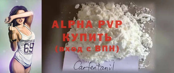 молекула духа Ростов