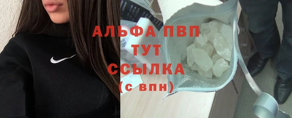 спиды Богданович