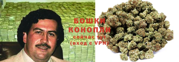 молекула духа Ростов
