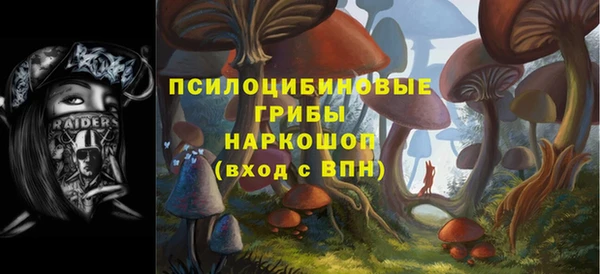 apvp Саяногорск